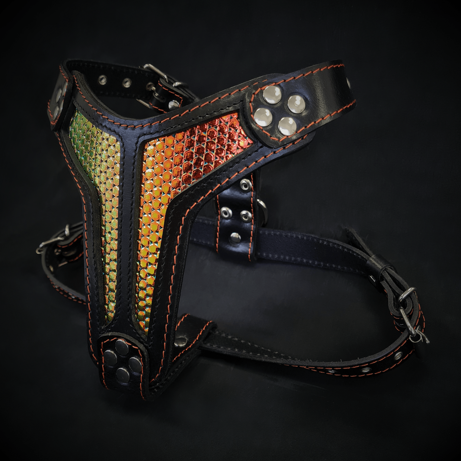 ''D`Albertis'' harness Medium Size-0