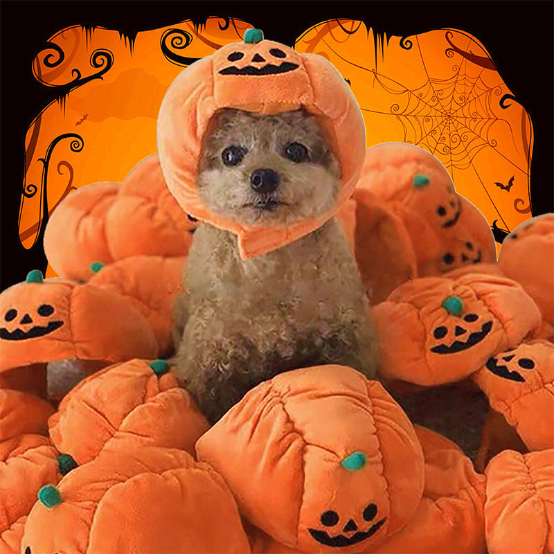 Pumpkin Halloween Costume Pets Hats-0