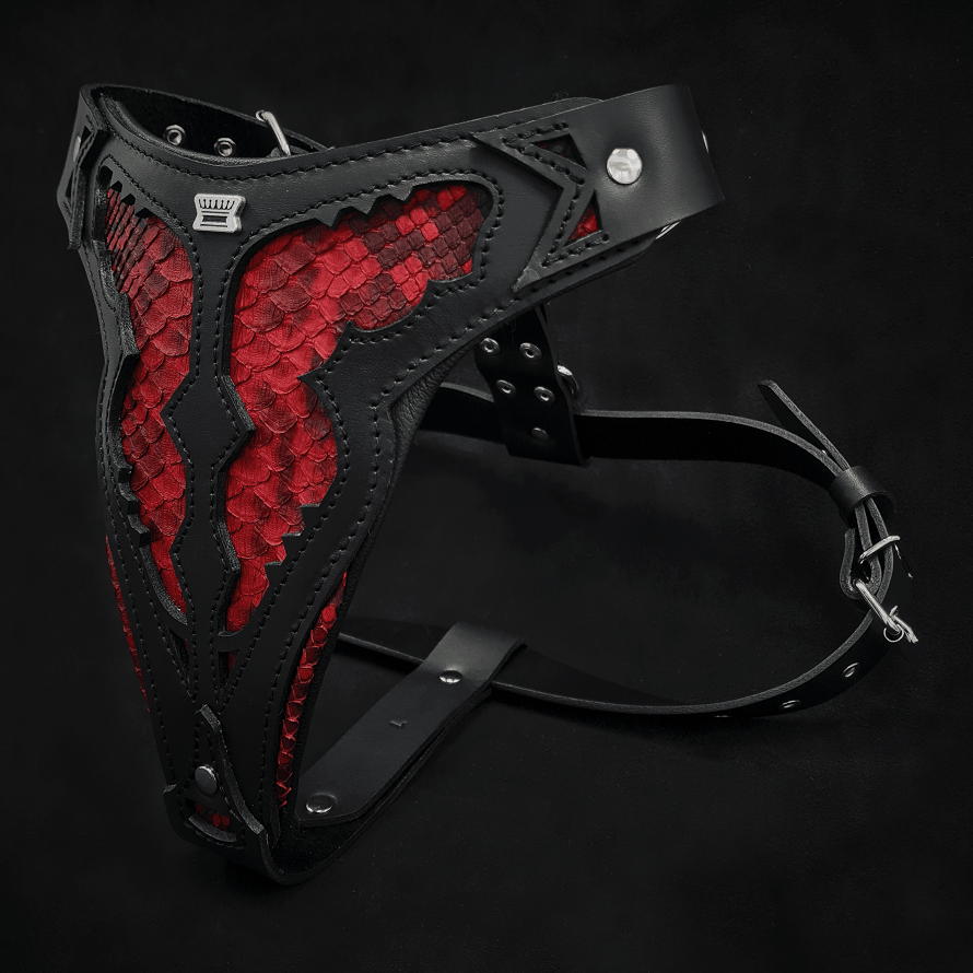 The ''Red Dragon'' harness-1