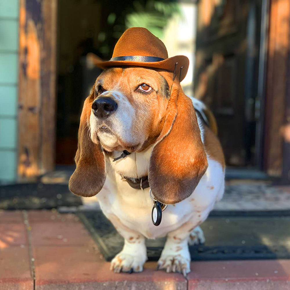 Cowboy Pets Cool Hat-0