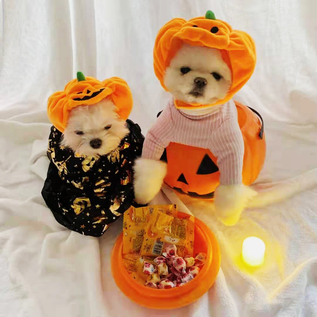 Pumpkin Halloween Costume Pets Hats-2