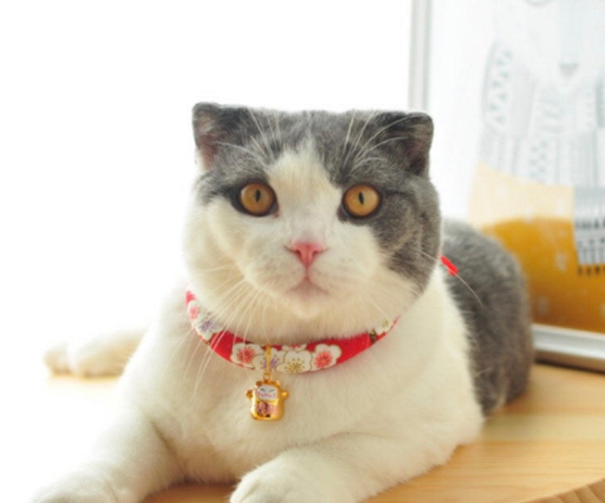 Florence Pink Cotton collar For CATS & DOGS 🌸Japanese style collar🎌Handmade Pets Collar and Pets bell~Sakura Handmade🎏-4