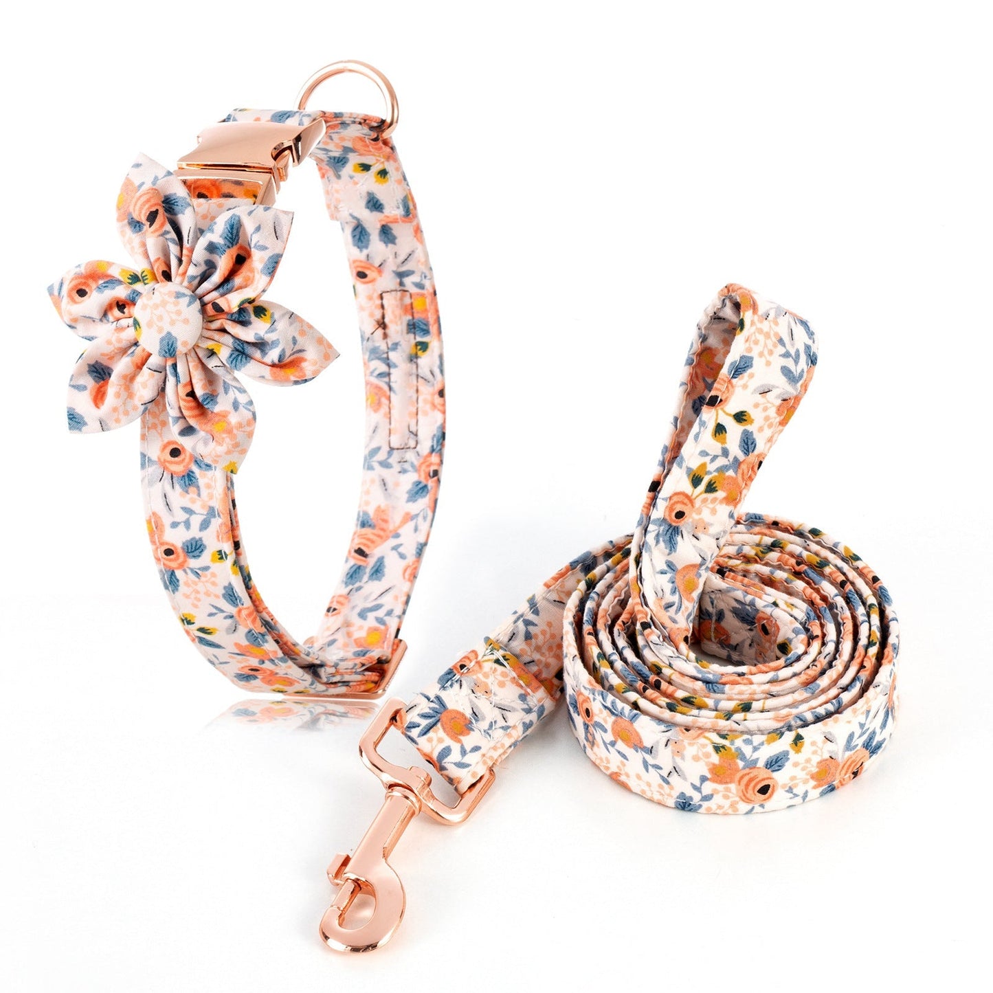 Spring Day Collar & leash Set-0