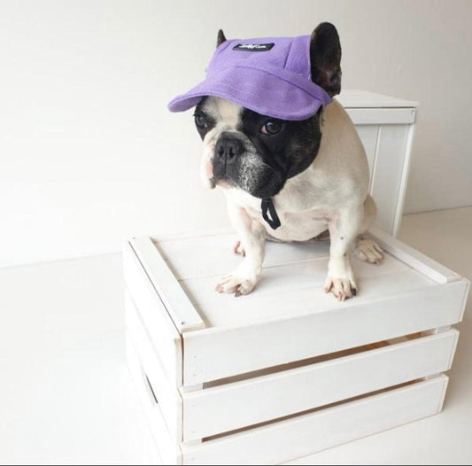 Pets Cap Purple-0