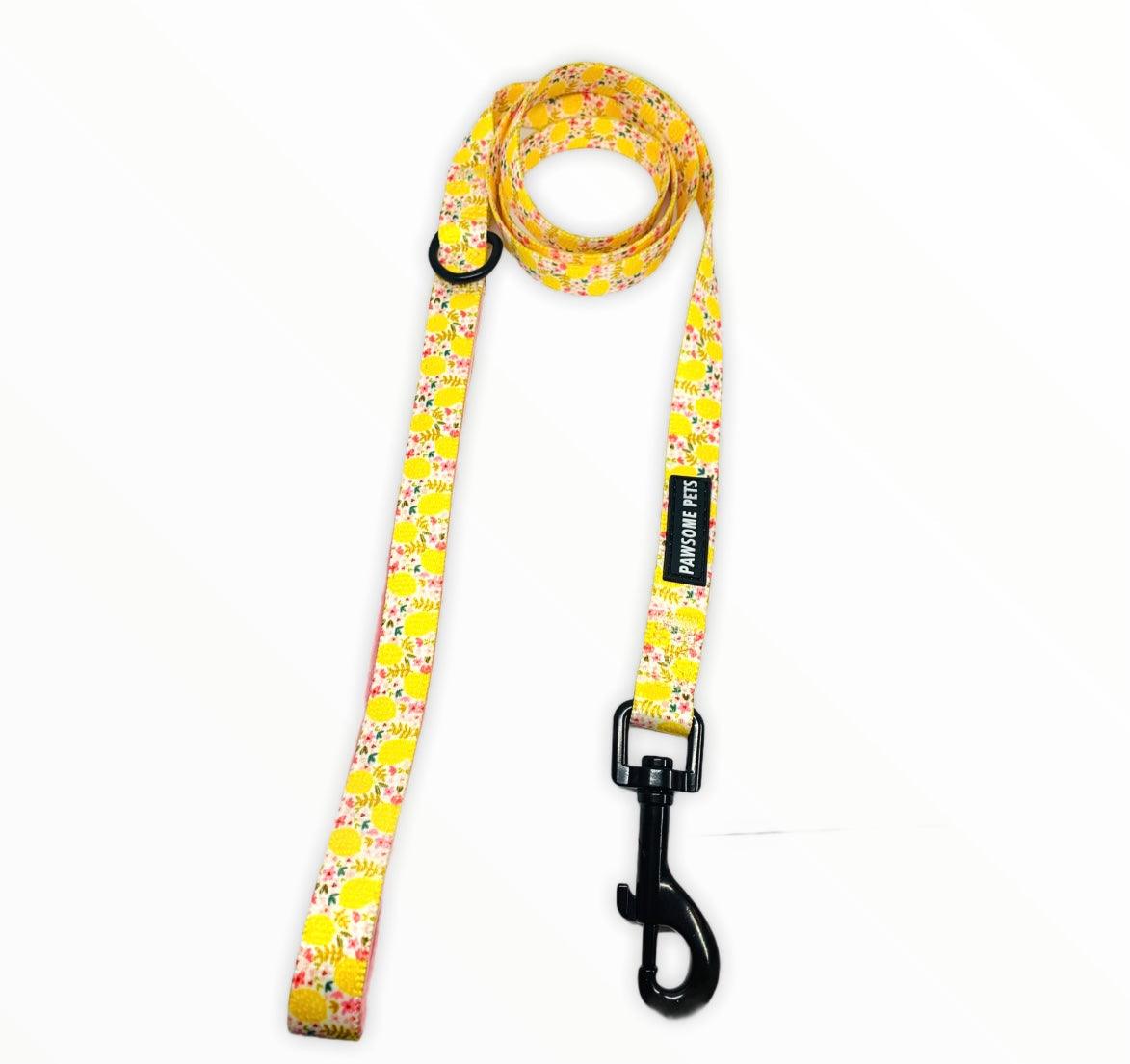 LEASH - OH MY LEMON-1