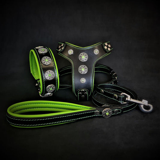 The ''Bijou'' SET -  Collar, Harness, Leash. Green-0