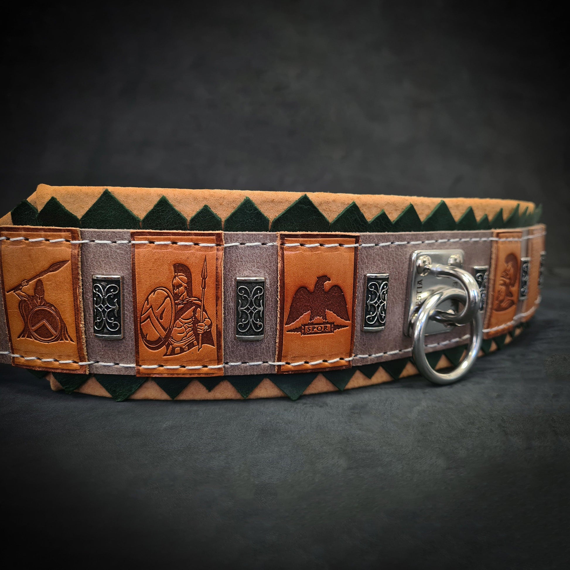 The ''SPQR'' Dog Collar-3