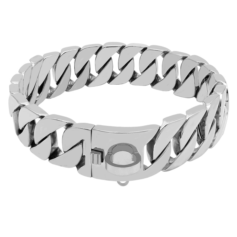 Stainless steel dog collar/chain