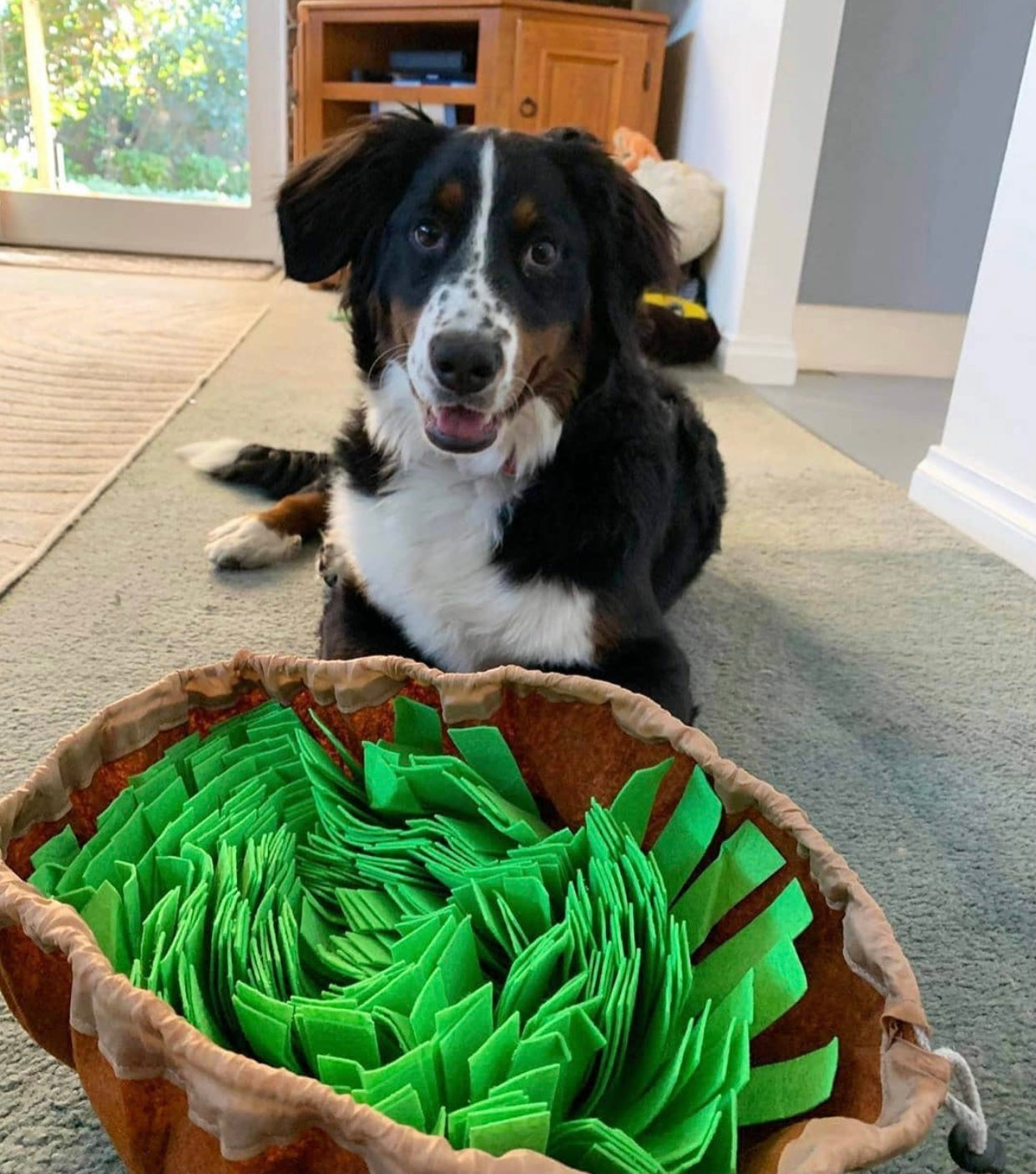 New Interactive Puzzle Toys Encourage Natural Foraging Skills Portable Nonslip Pet Snuffle Mat Slow Feeder Easy To Clean-1