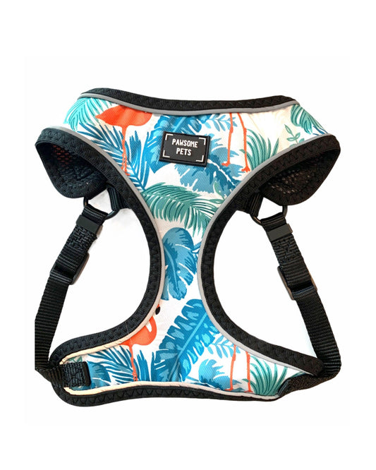 ADJUSTABLE HARNESS - BLUMOND FLAMINGO-0