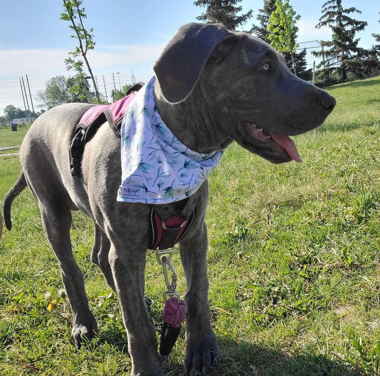 BANDANA - LEAF-1