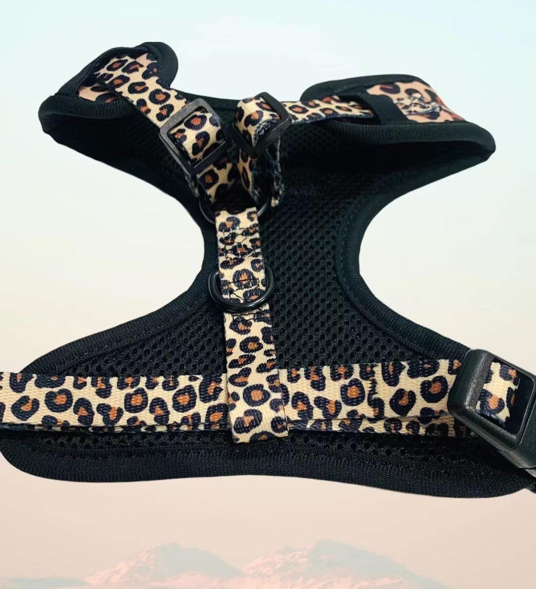 BUNDLE - LEOPARD (3 PIECES)-4