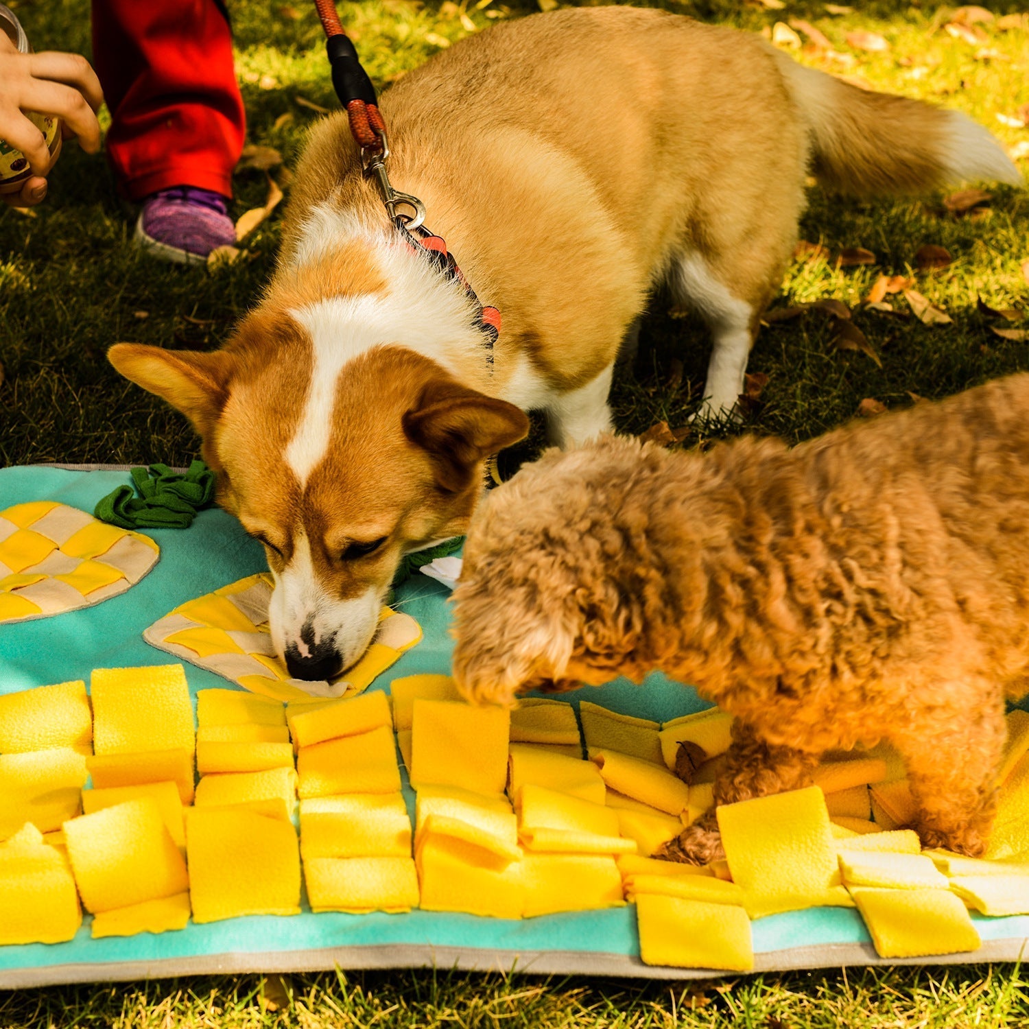 Pets Puzzle Toys Increase IQ Snuffle Mat-Pineapple Party-4