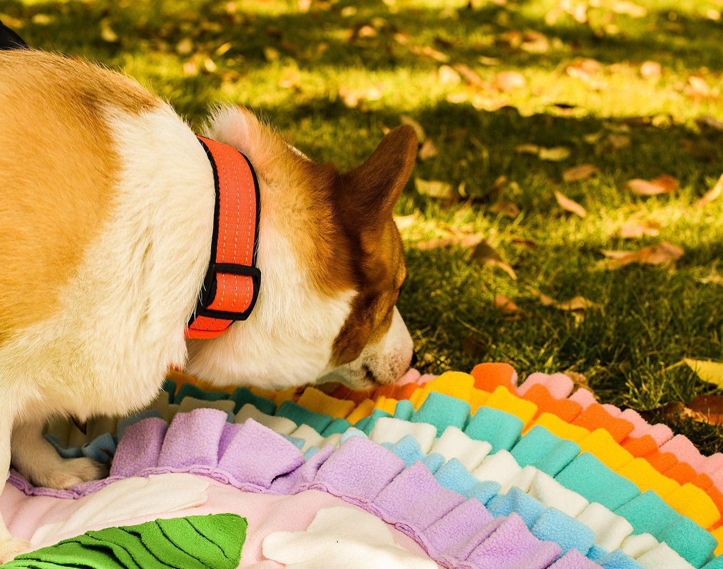 Pets Puzzle Toys Snuffle Mat-Rainbow with Trees-3