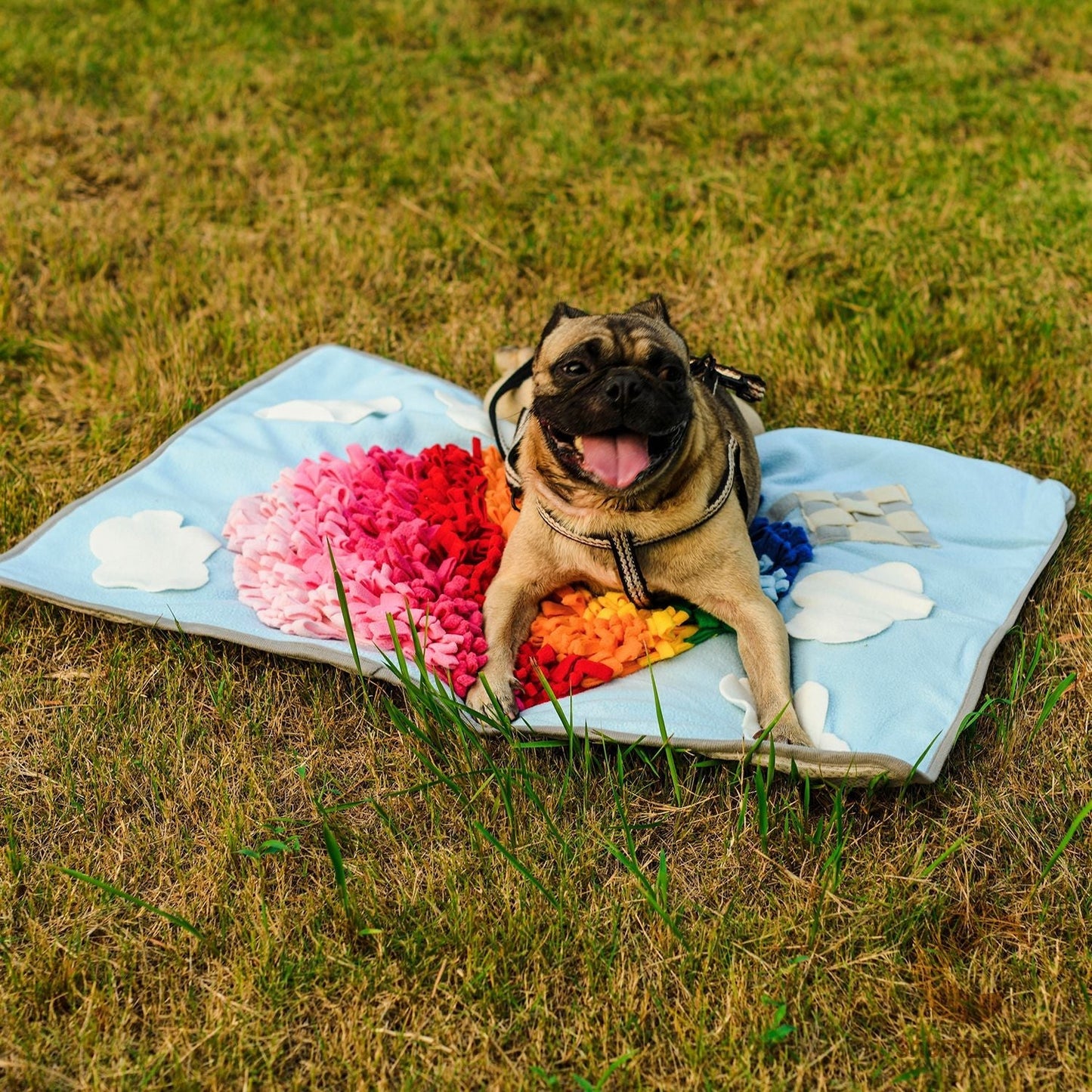 Pets Puzzle Toys Snuffle Mat-Hot Air Balloon-3