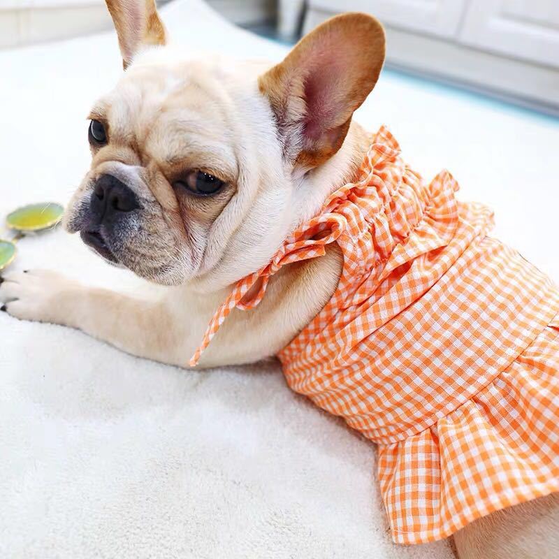 Red Plaid Elegant Dress Beautiful Princess Dress for Pets Party Wear-1