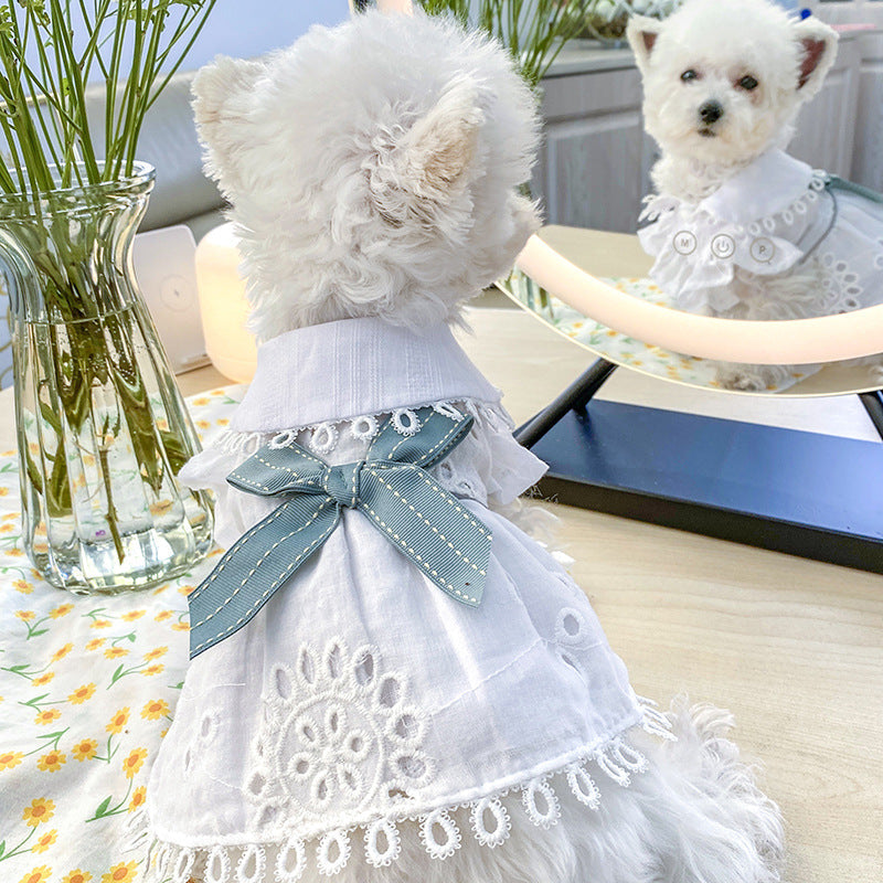 Summer Light Blue Bow Elegant Dress Beautiful Princess Dress for Pets Party Wear-0