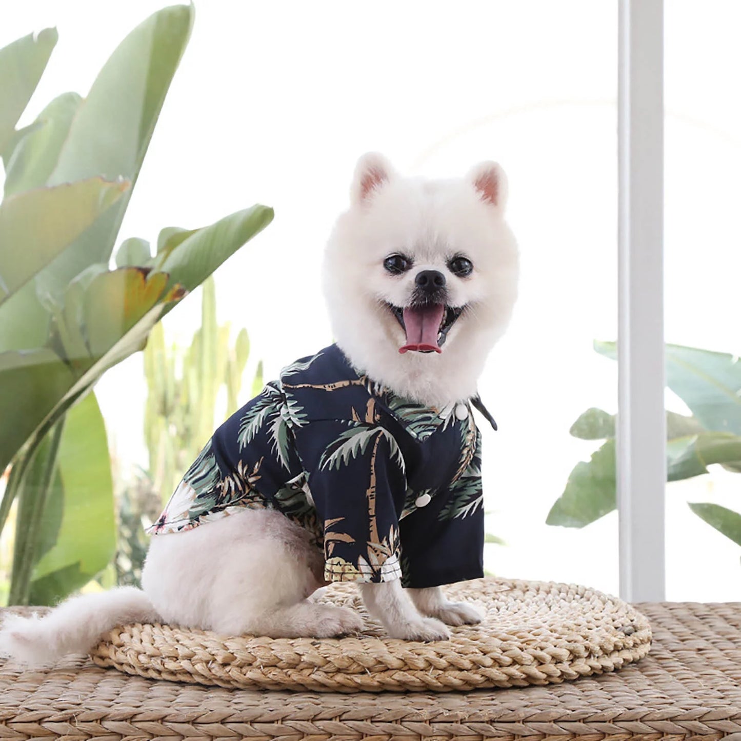 Pet Summer T Shirts Hawaii Style Floral Dog Shirt Hawaiian Printed Pet T Shirts Breathable Cool Clothes Beach Seaside Puppy Shirt Sweatshirt for Small Puppy and Plaid Dog Sweater Dog Vests for Small