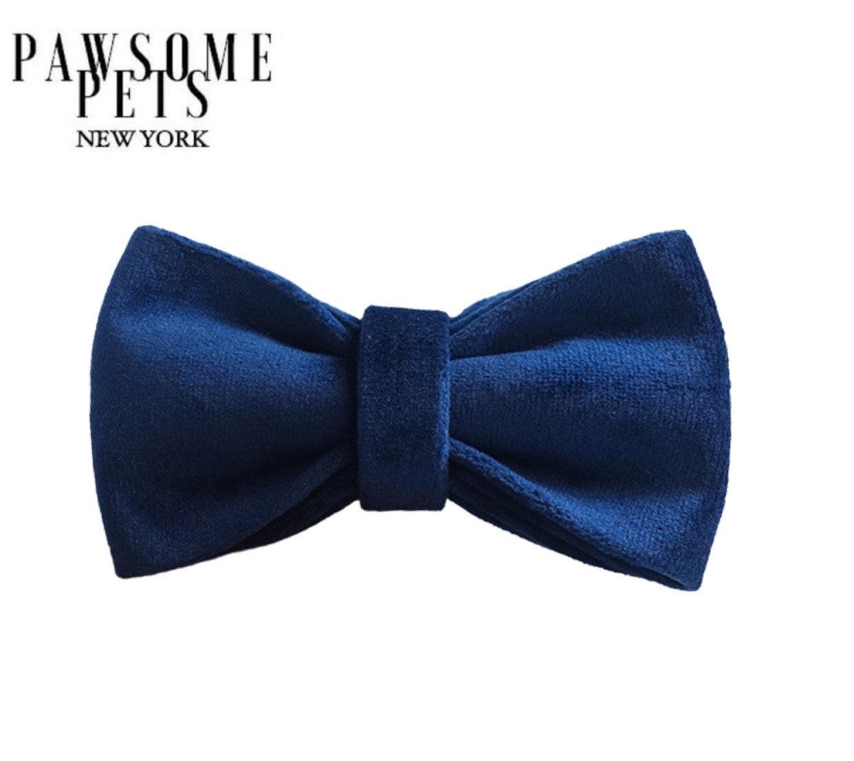 BOWTIE - BLUE TO BE WILD-0