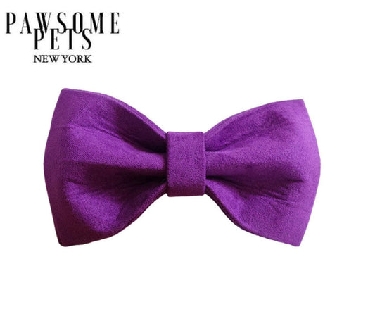 BOWTIE - PURPLE LOVE-0