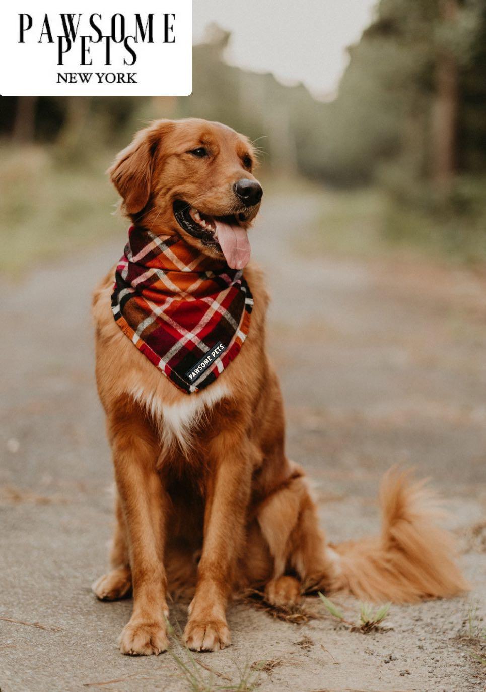 BANDANA - HARVEST-2