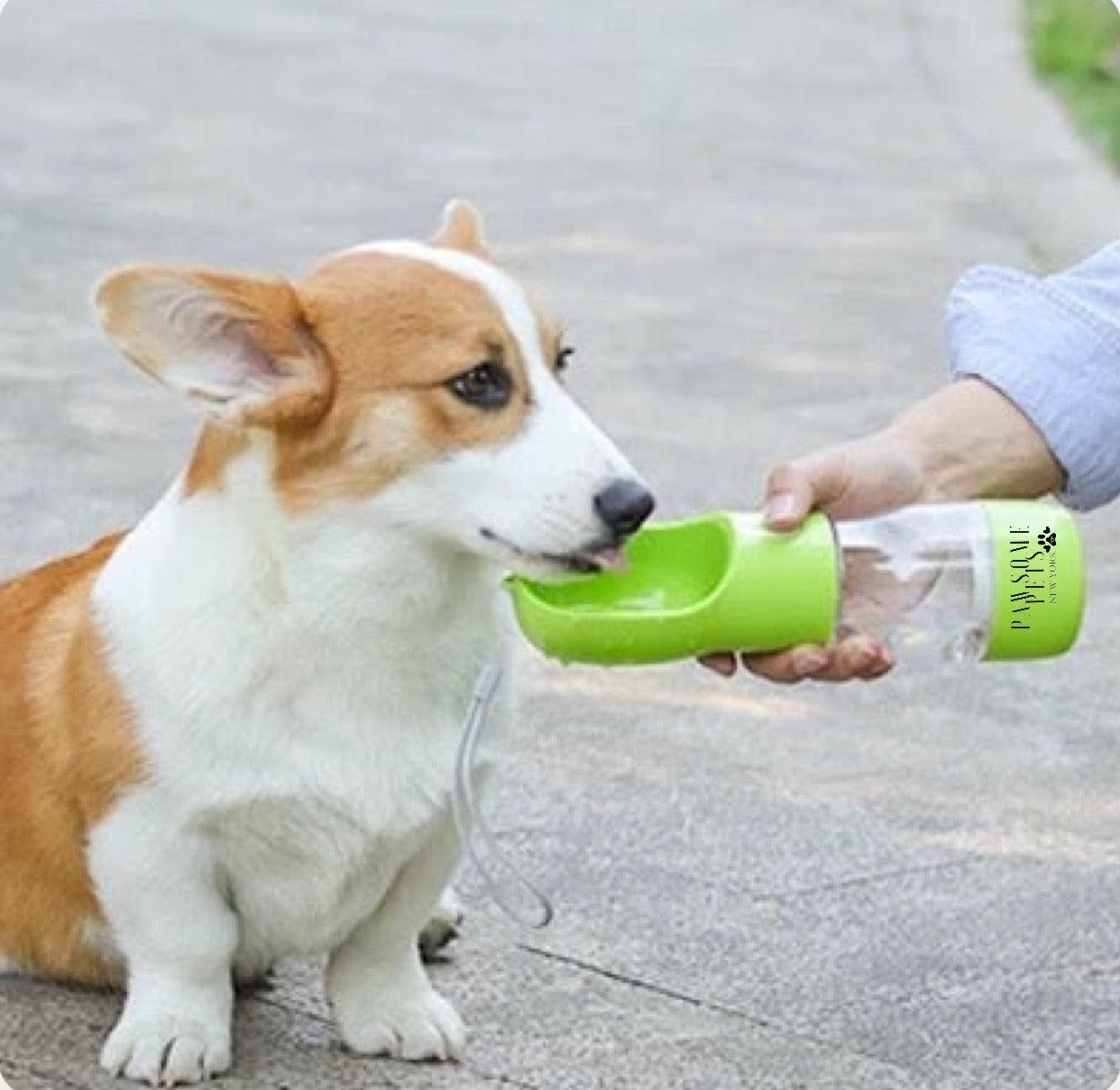 2 IN 1 PORTABLE PET FEEDER - GREEN-1