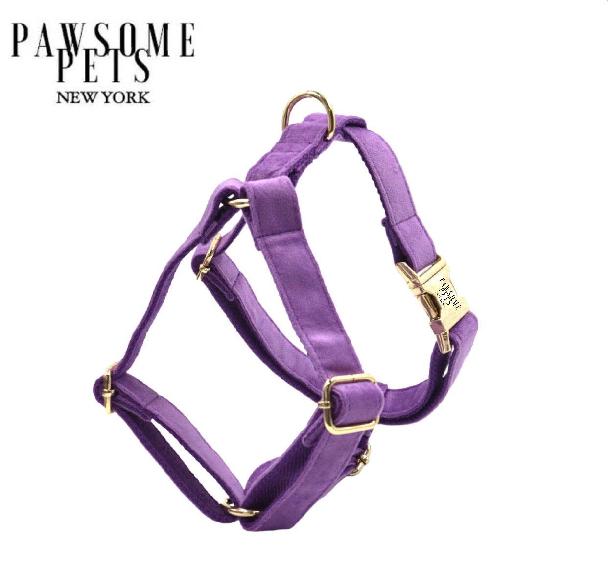 STEP IN HARNESS - DARK PURPLE-0