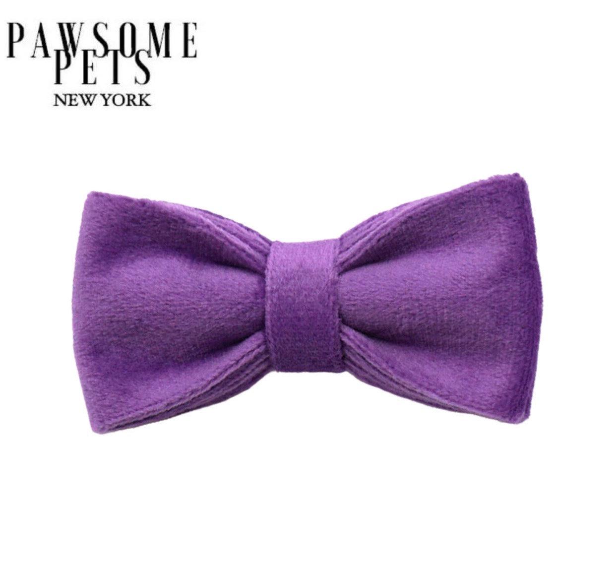 BOWTIE - DARK PURPLE-0