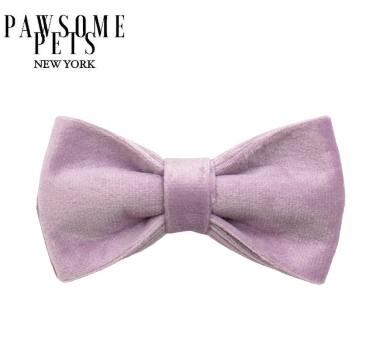 BOWTIE - LIGHT PURPLE-0