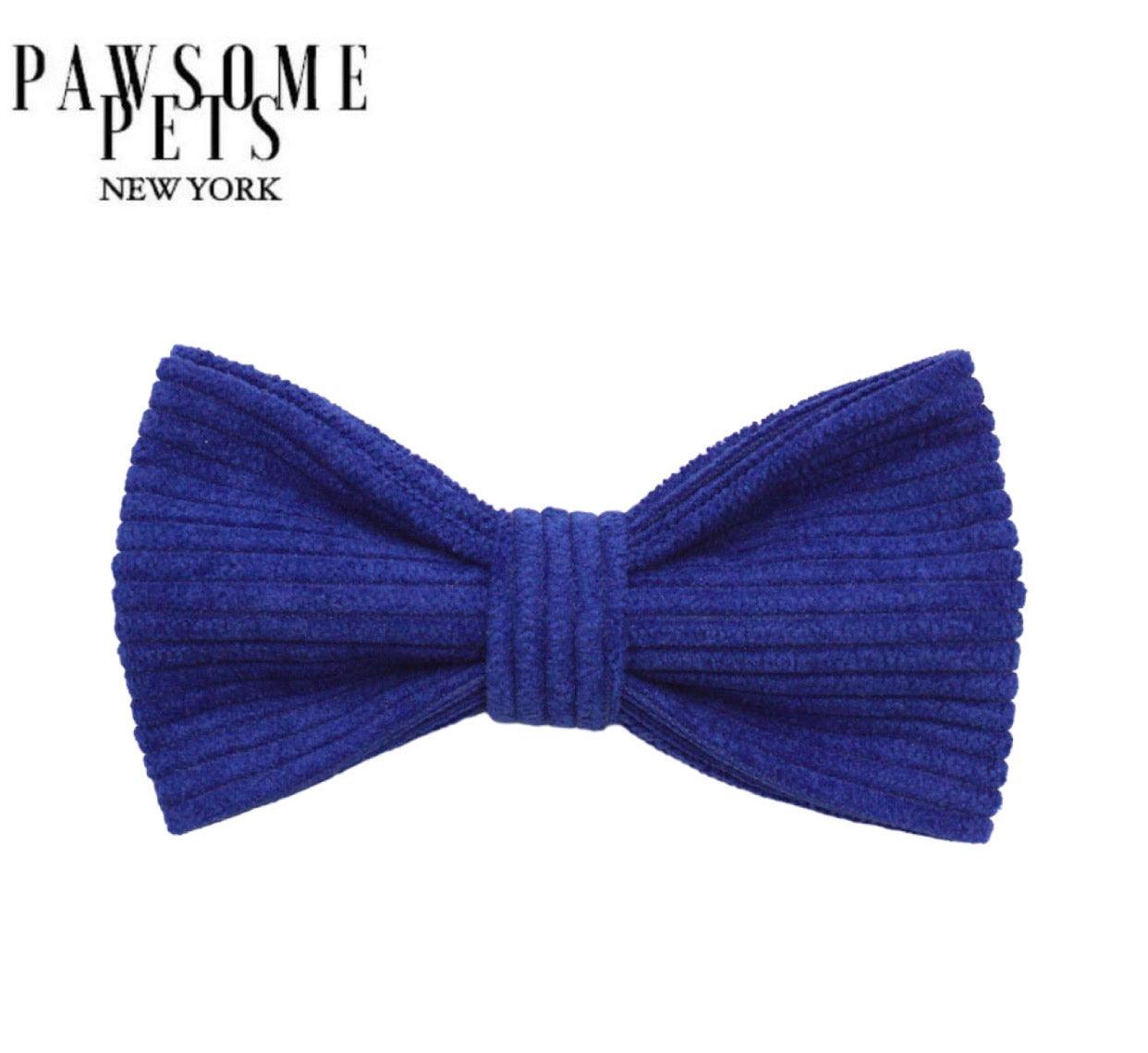 BOWTIE - VIVID BLUE-0