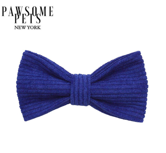 BOWTIE - VIVID BLUE-0