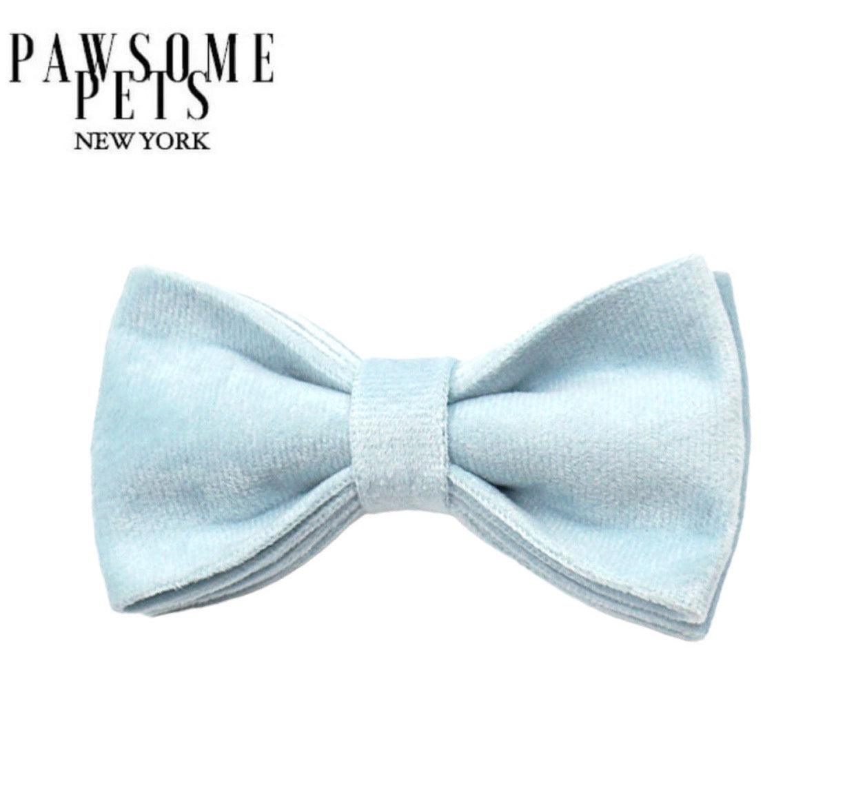 BOWTIE - ICE BLUE-0