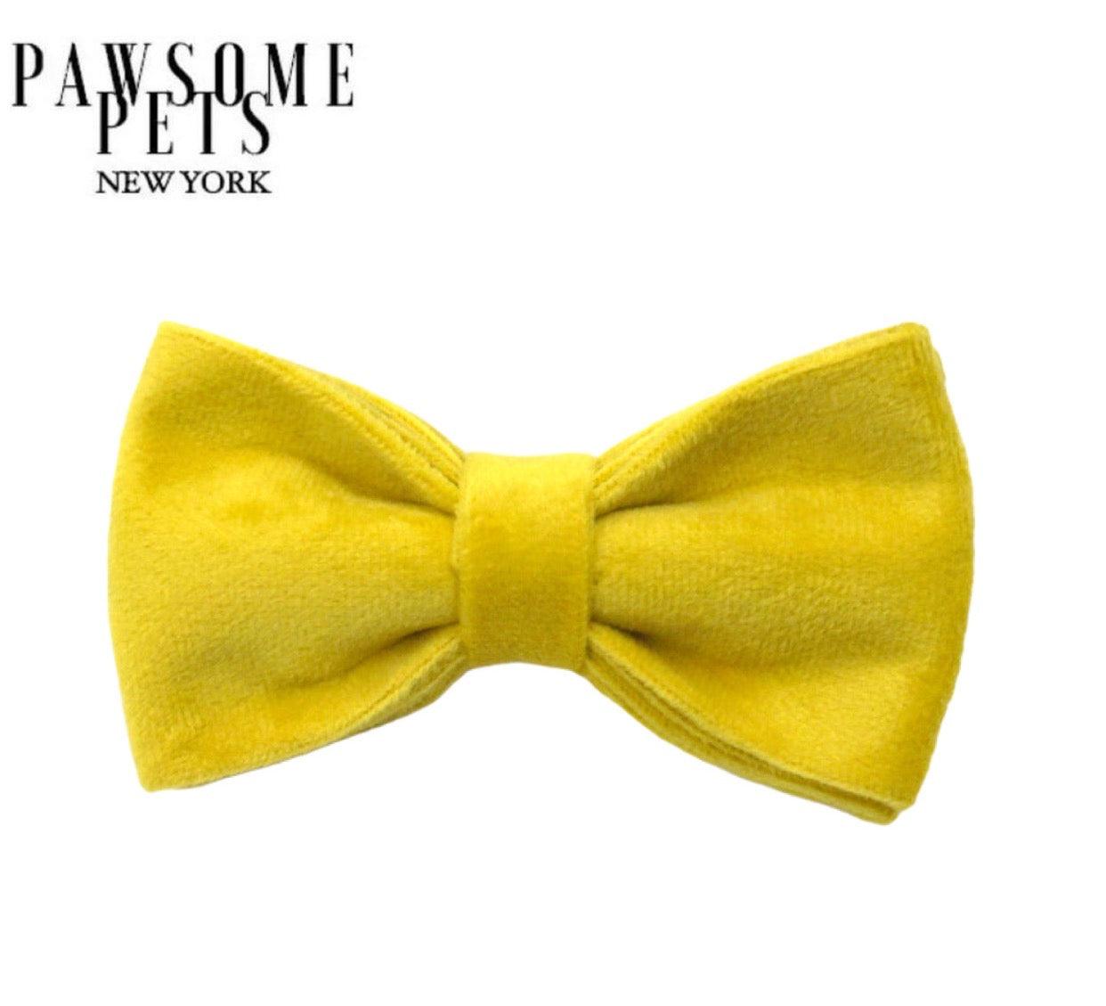 BOWTIE - BRIGHT YELLOW-0