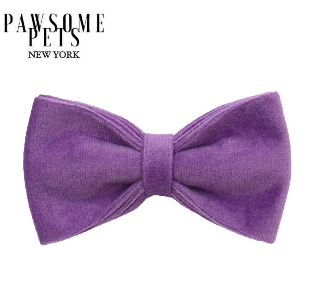 BOWTIE - DARK PURPLE-0