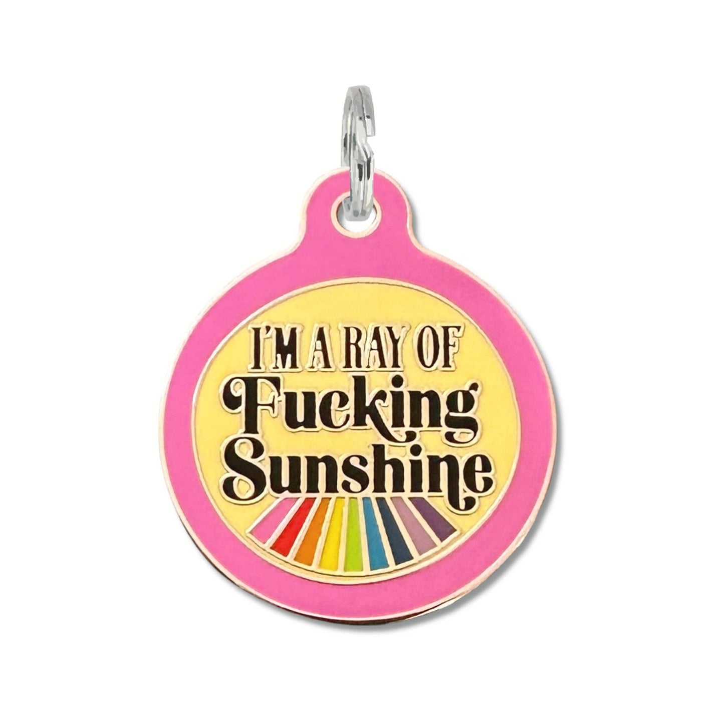 Dog ID Tag with Personalized QR - Ray of Fucking Sunshine: Large / Teal / Collar Charm (Blank Backside)