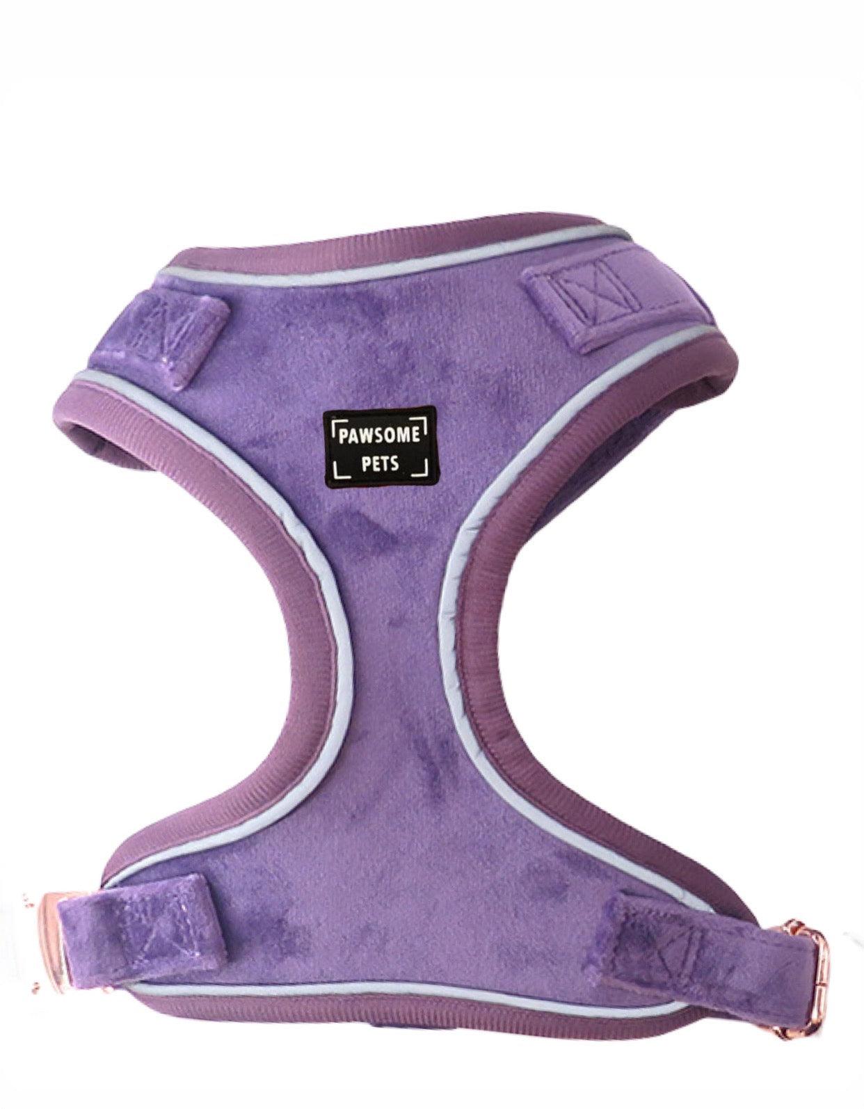 ADJUSTABLE HARNESS - LILAC-0