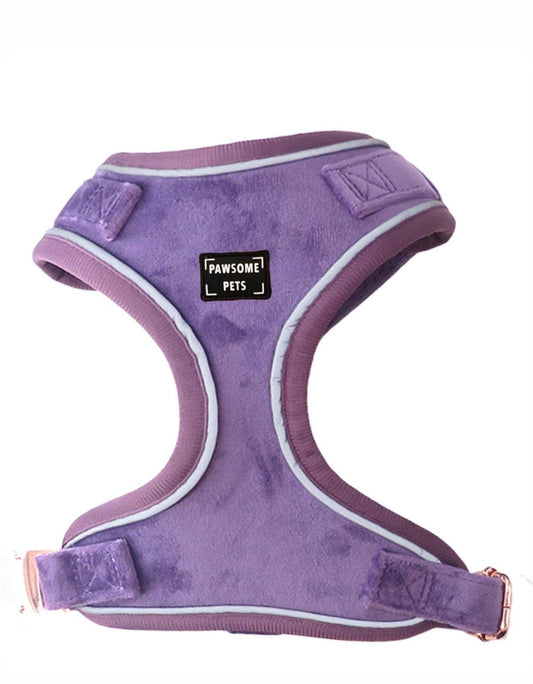 ADJUSTABLE HARNESS - LILAC-0