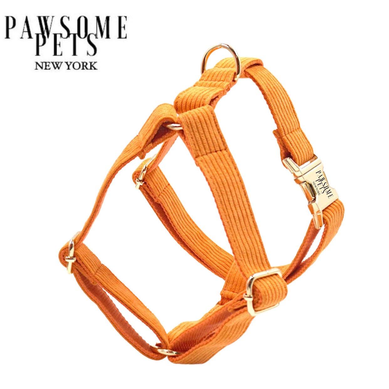 STEP IN HARNESS - ORANGE-0