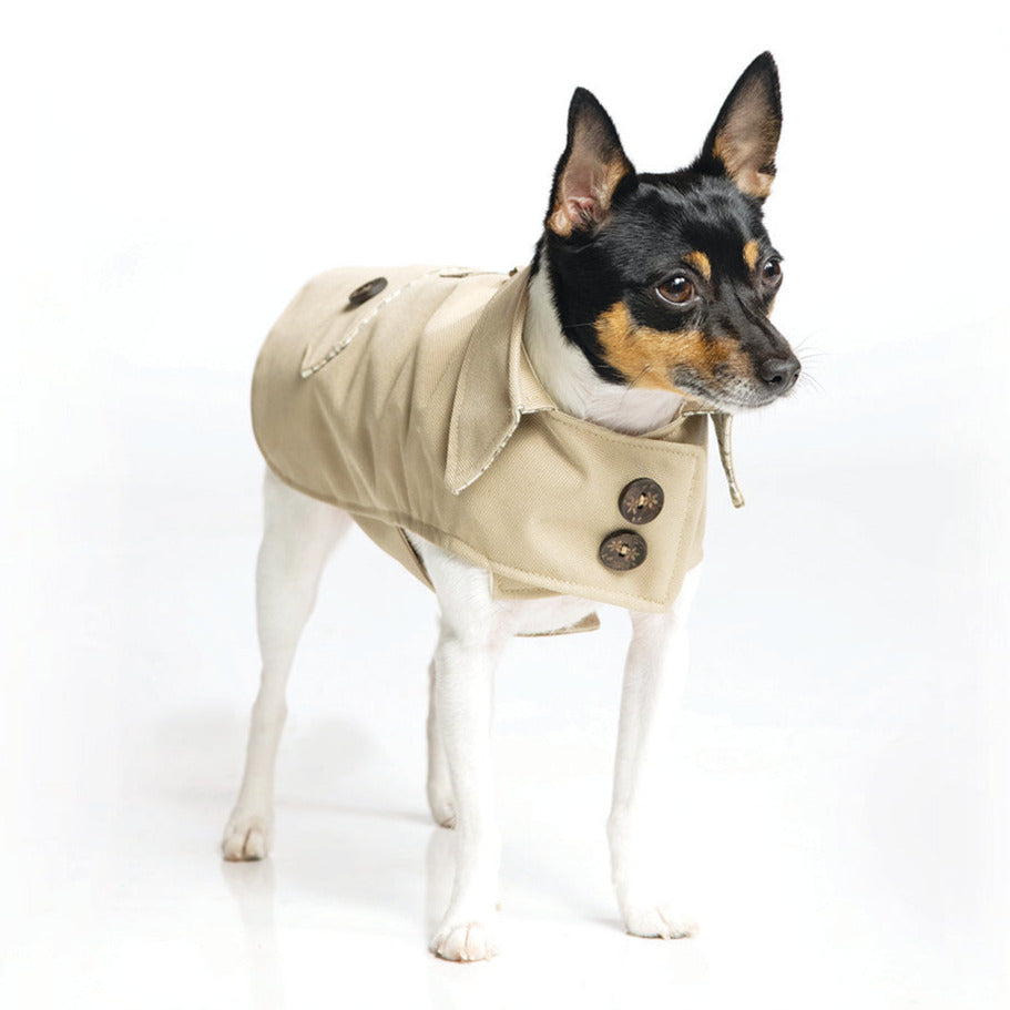 DoggieCoutureNY Classic Trench Coat - Beige-0