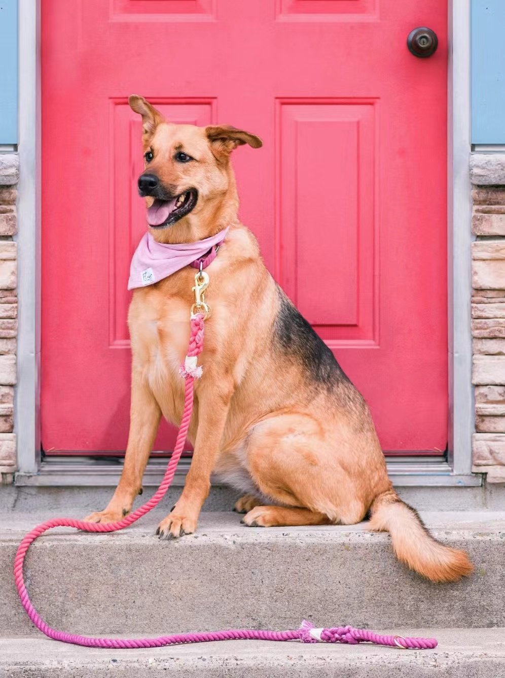 Luxe Royal Pink Leather Rope Leash - Sky Blue-4