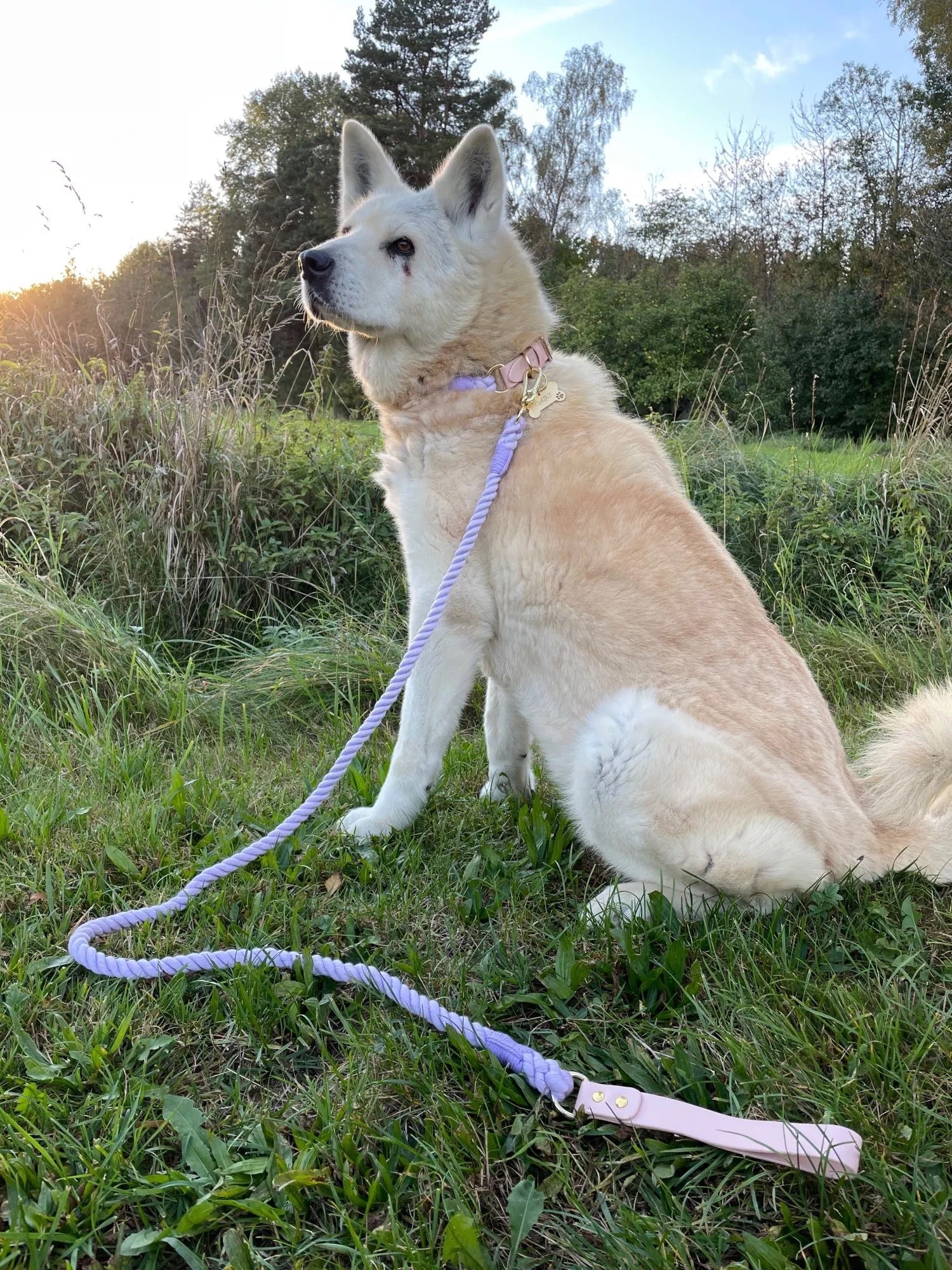 Luxe Royal Pink Leather Rope Leash - Bright Gold-2