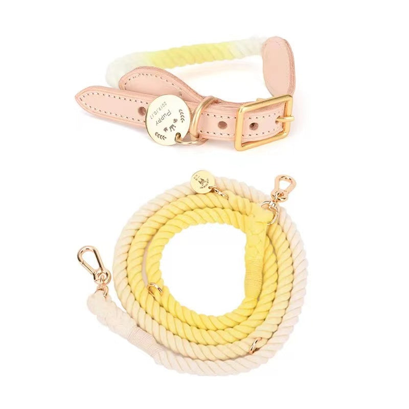 Hands Free Rope Leash and Luxe Royal Leather Collar Bundle - Lemon Squeeze-0