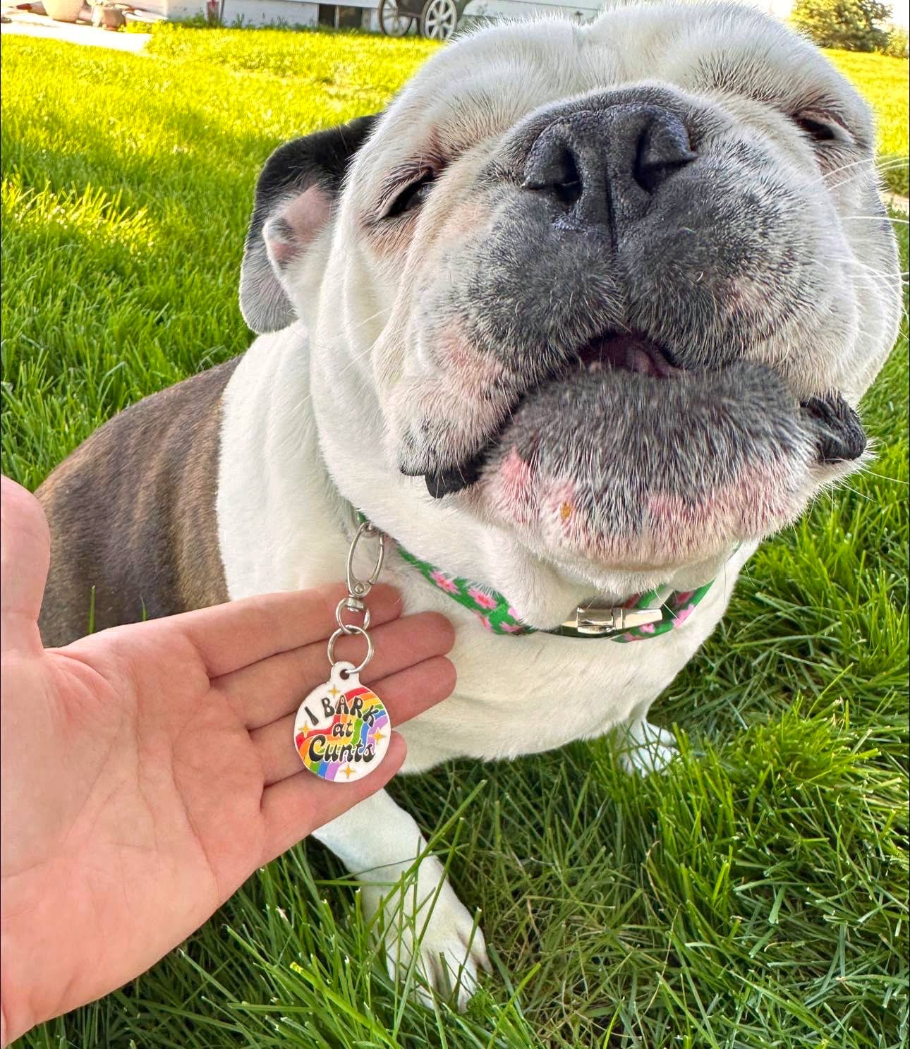 I Bark at Cunts - Funny Dog ID Tag or Collar Charm Accessory: Large / Collar Charm (Blank Backside)