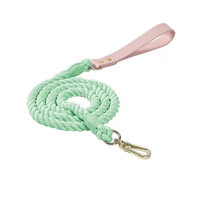 Luxe Royal Pink Leather Rope Leash - Dinosaur-0