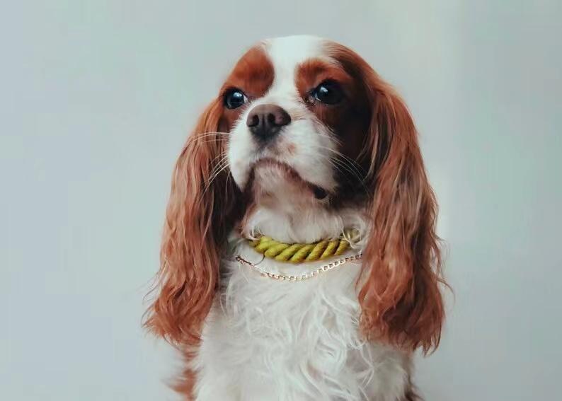 Cotton Rope Collar With Lightweight Gold Chain - Strawberry Love-4