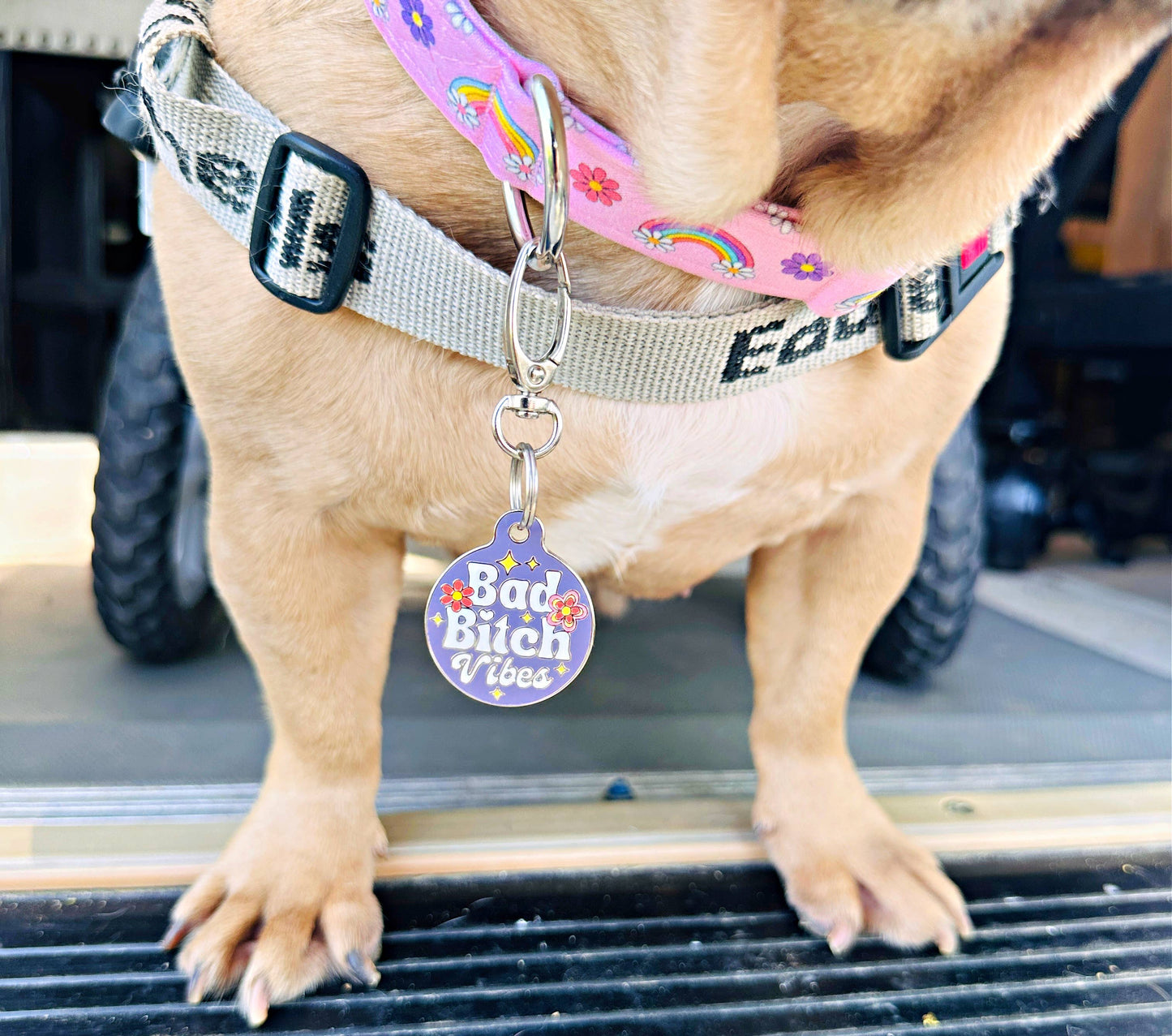 Dog ID Tag with Personalized QR Code - Bad Bitch Vibes: Purple / Large 1.25" / Collar Charm (Blank Backside)