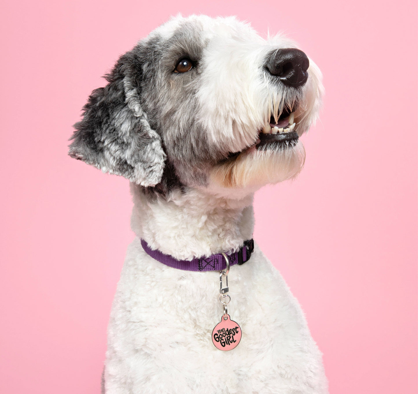 The Goodest Girl - Dog Tag Collar Charm or Pet ID Tag: Pink / Collar Charm (blank backside) / Small 1"