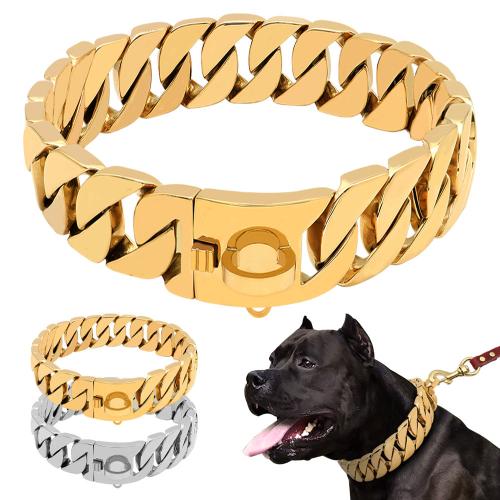 Stainless steel dog collar/chain