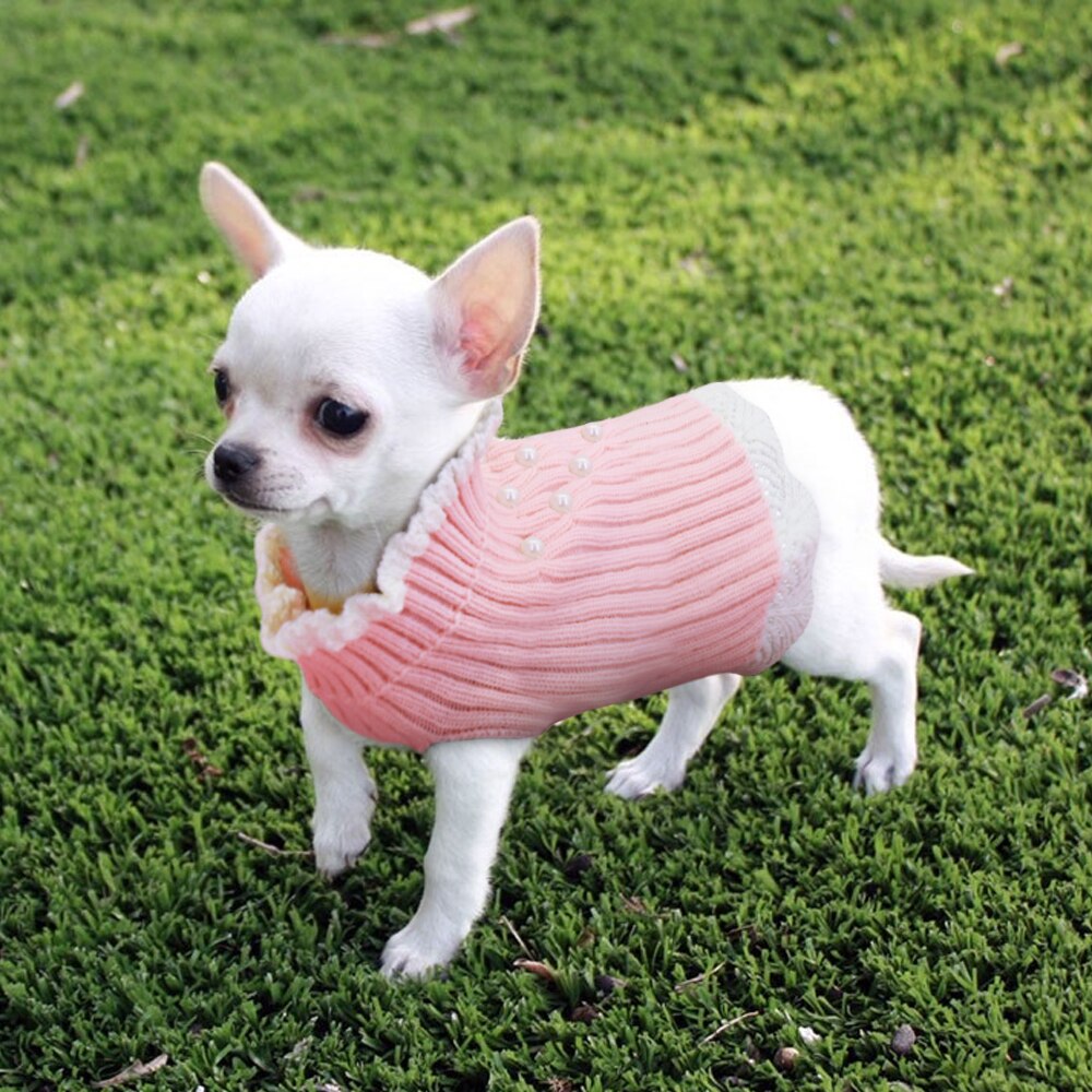 Cat Dog Knitted Sweater Chihuahua Puppy Clothes