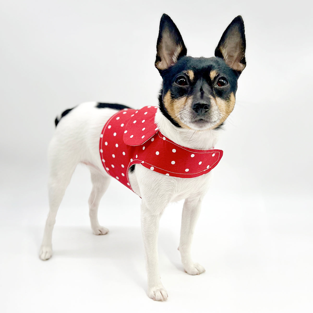 DCNY “Red & White Polka Dots” Vest-Style Harness-0